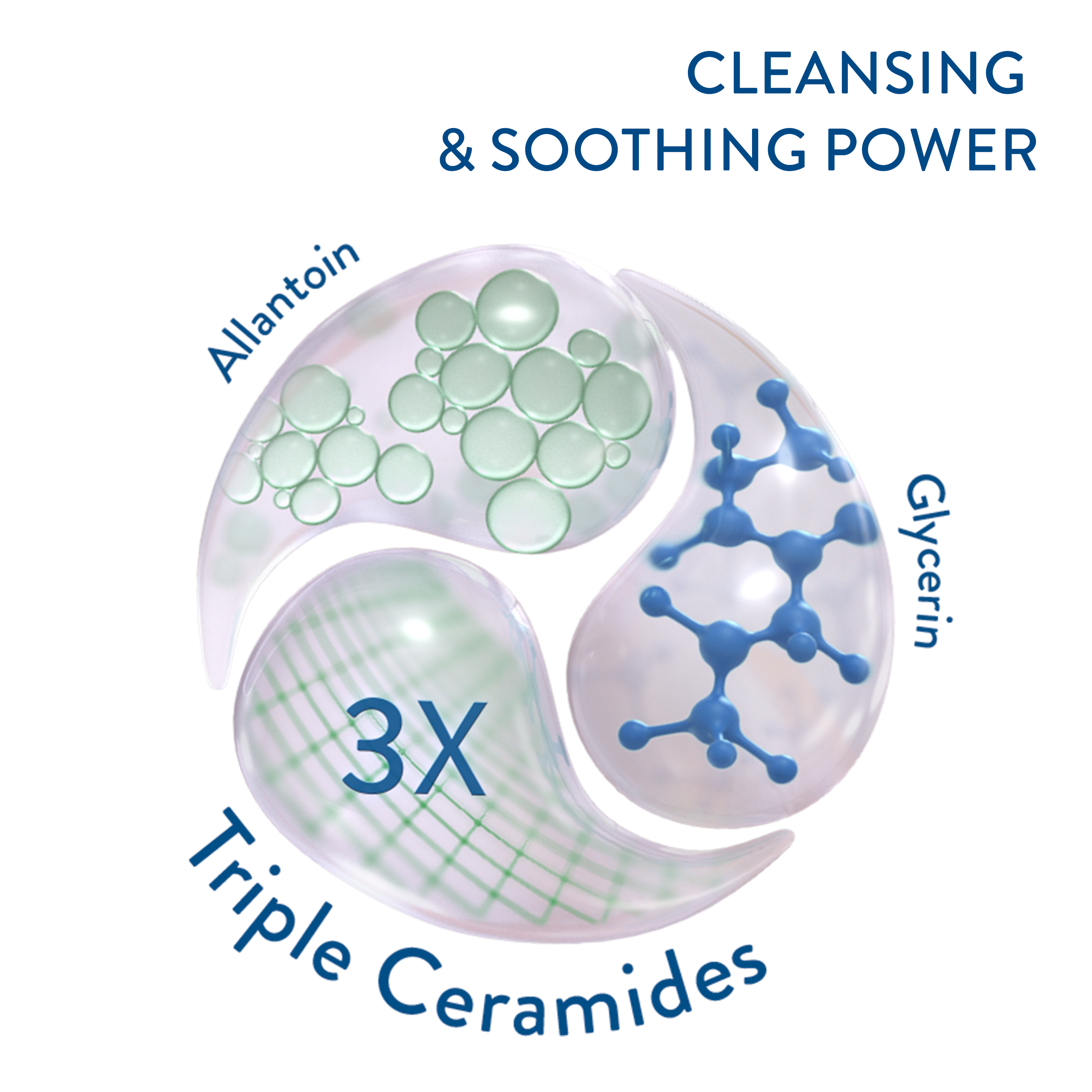 เซตาฟิล ซูธติ้ง โฟม วอช 
                    Ingredients