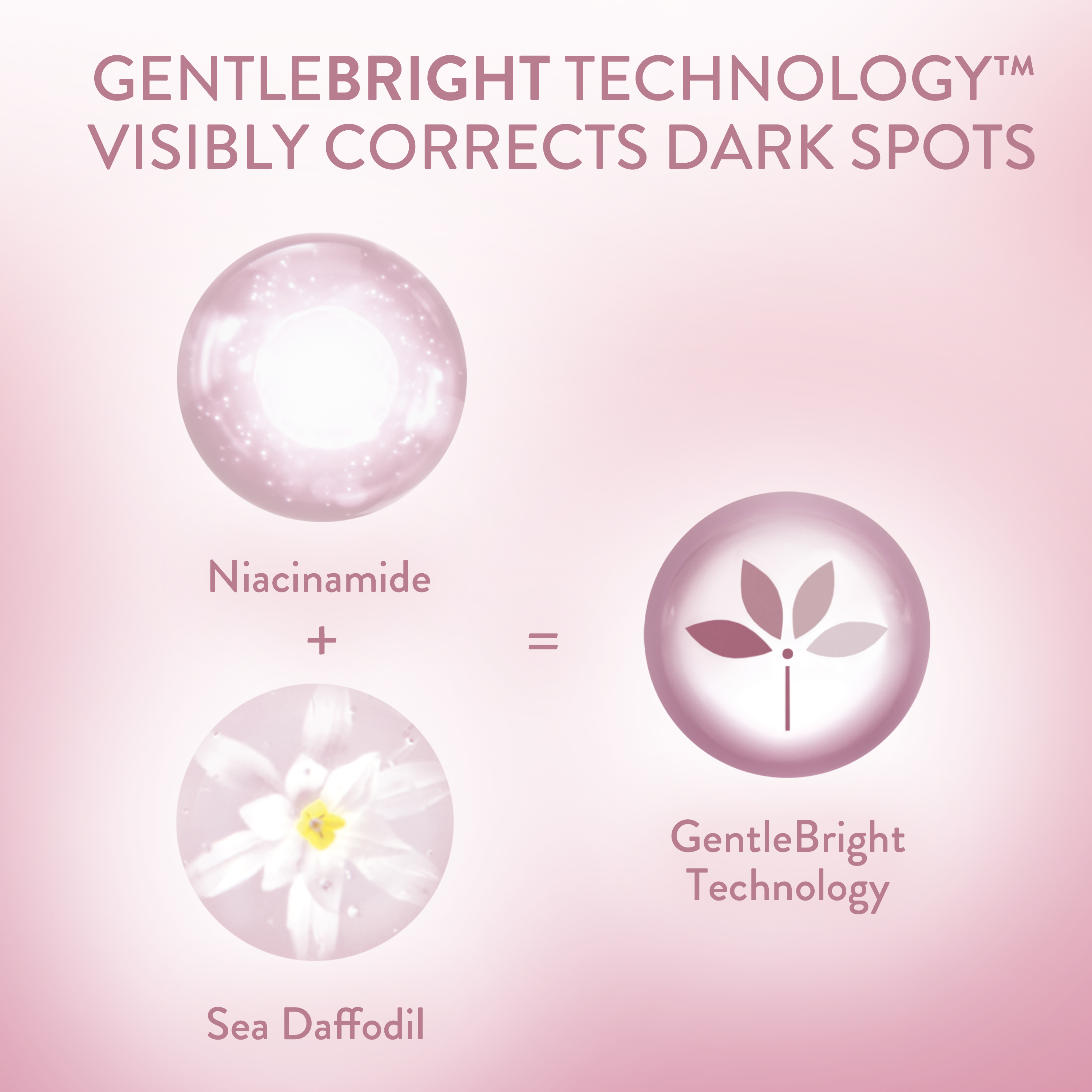 เซตาฟิล ไบรท์ เฮลธ์ตี้ เรเดียนซ์ ไบรท์เทนนิ่ง ไนท์ คอมฟอร์ท ครีม 
                    Ingredients